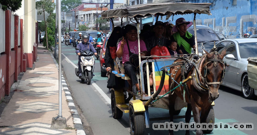 Indonesian horse-drawn dokar.