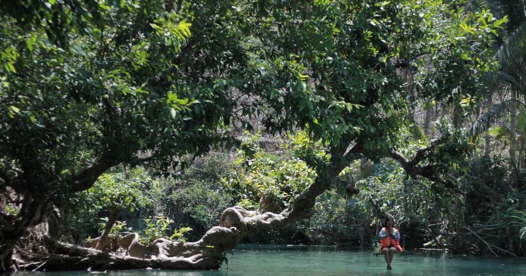 Maron River: a little bit of tree dangling!.